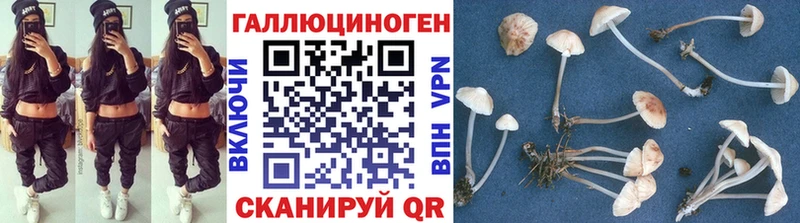 где купить наркоту  Ейск  даркнет наркотические препараты  Галлюциногенные грибы Magic Shrooms 