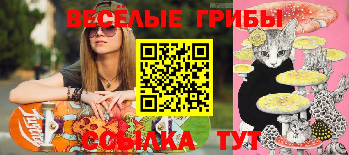 Галлюциногенные грибы MAGIC MUSHROOMS Ейск