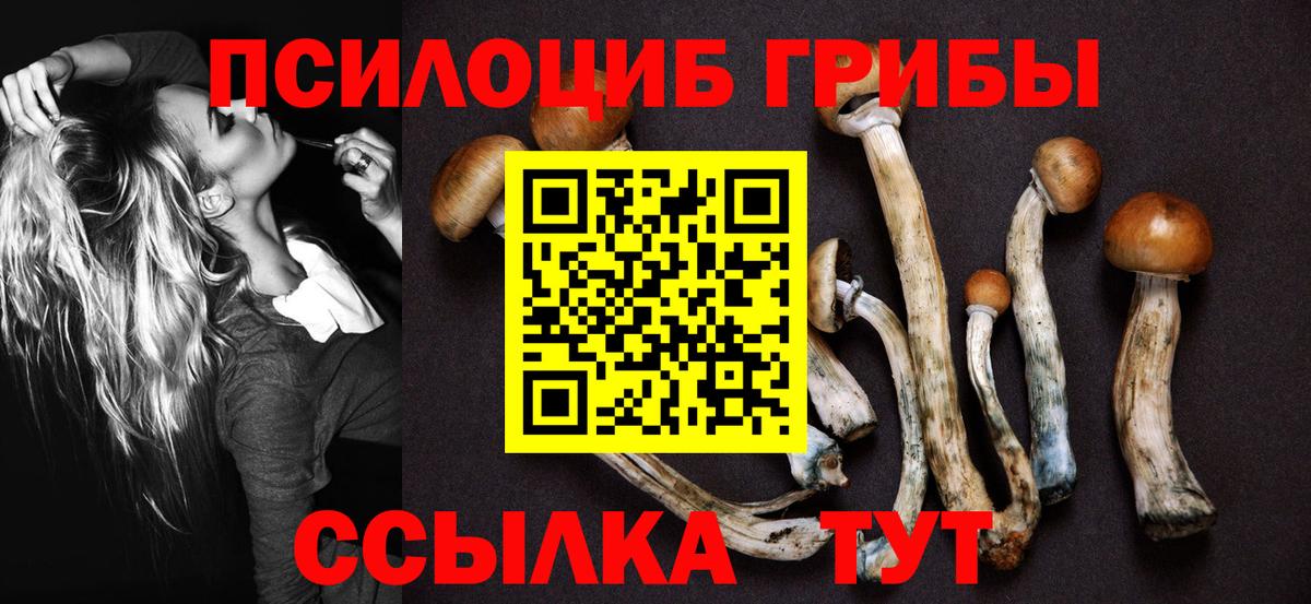 Псилоцибиновые грибы мицелий  Псилоцибиновые грибы мицелий  Ейск  Вход с VPN 